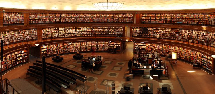 Data Science Stipendium